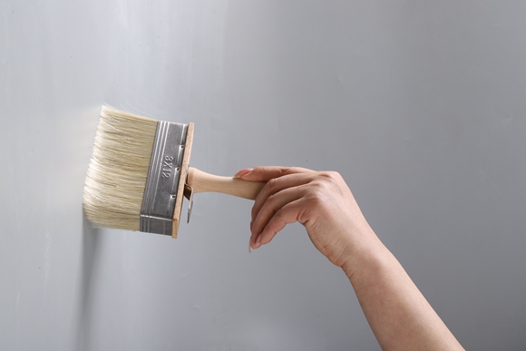 Wall cleaner