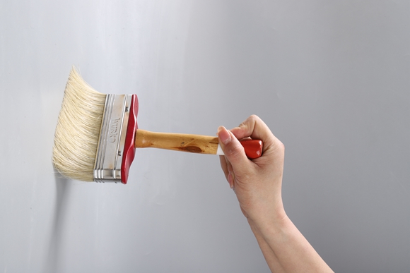 Wall cleaner