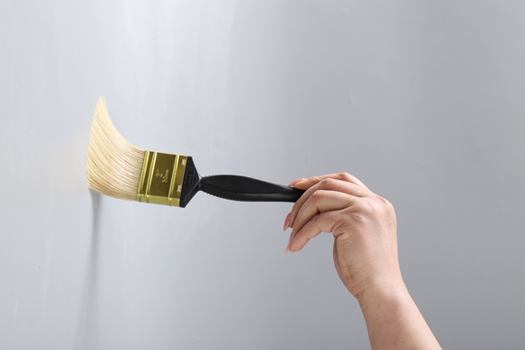 Plastic handle brush   