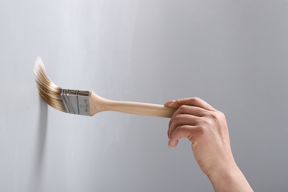 Brush set   